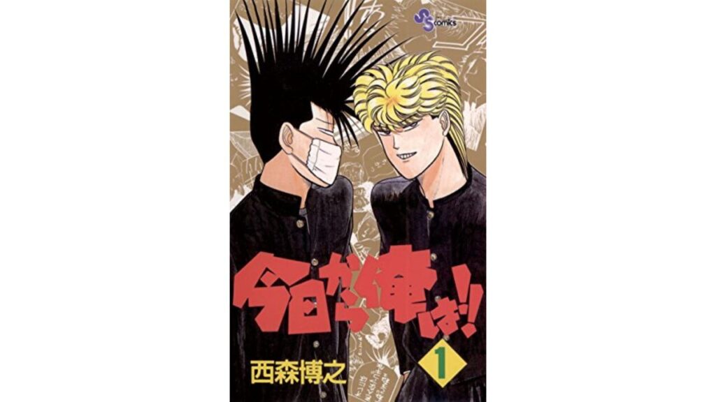 ⑰今日から俺は!!/西森博之(完結/全38巻)